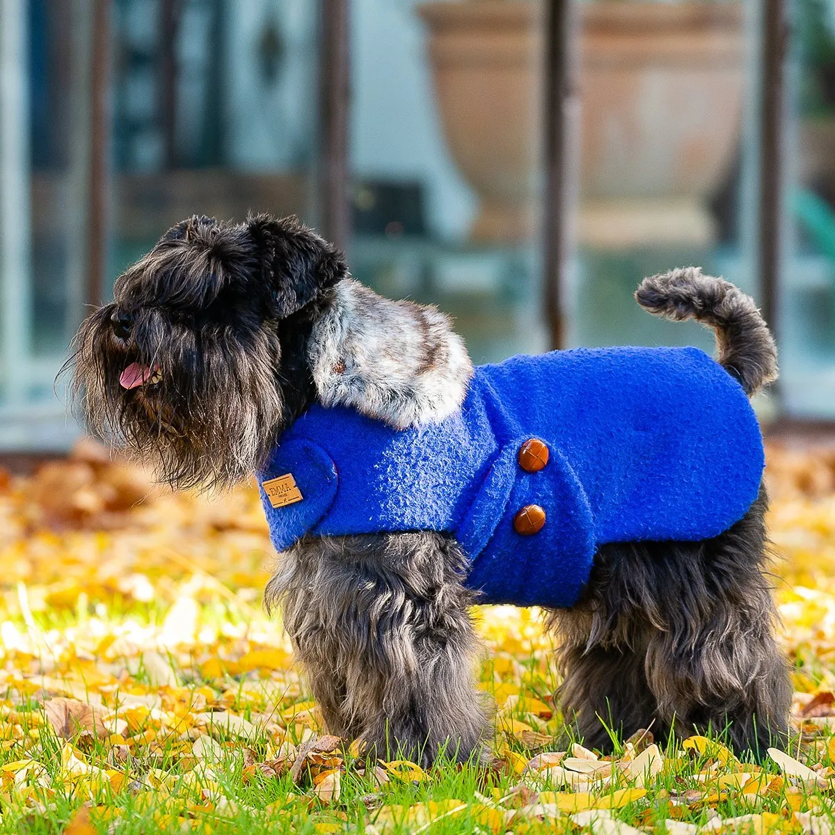 Bespoke Dog Coat/Raincoat Cobalt Casentino