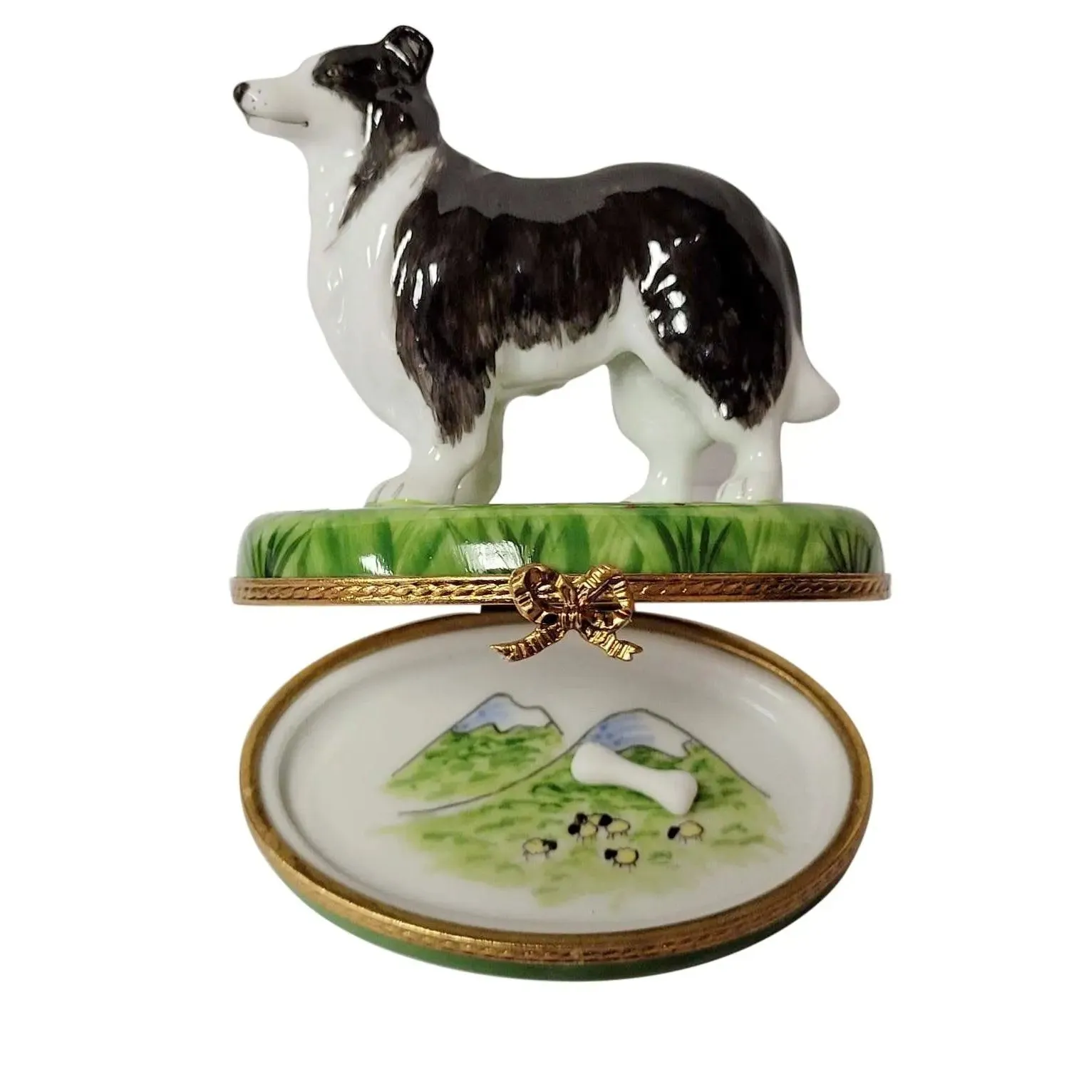 Black & White Collie Dog with Removable Bone