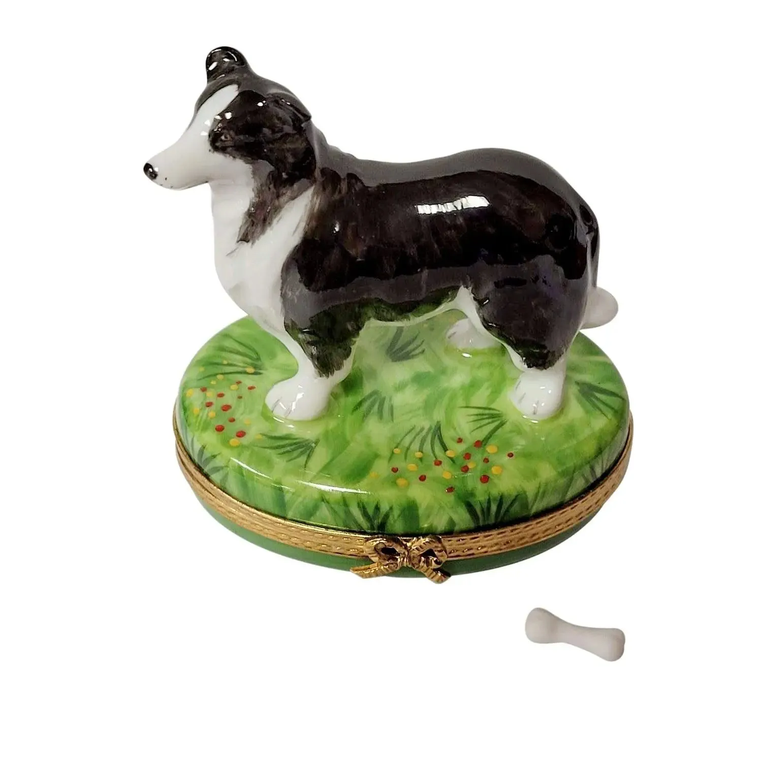 Black & White Collie Dog with Removable Bone