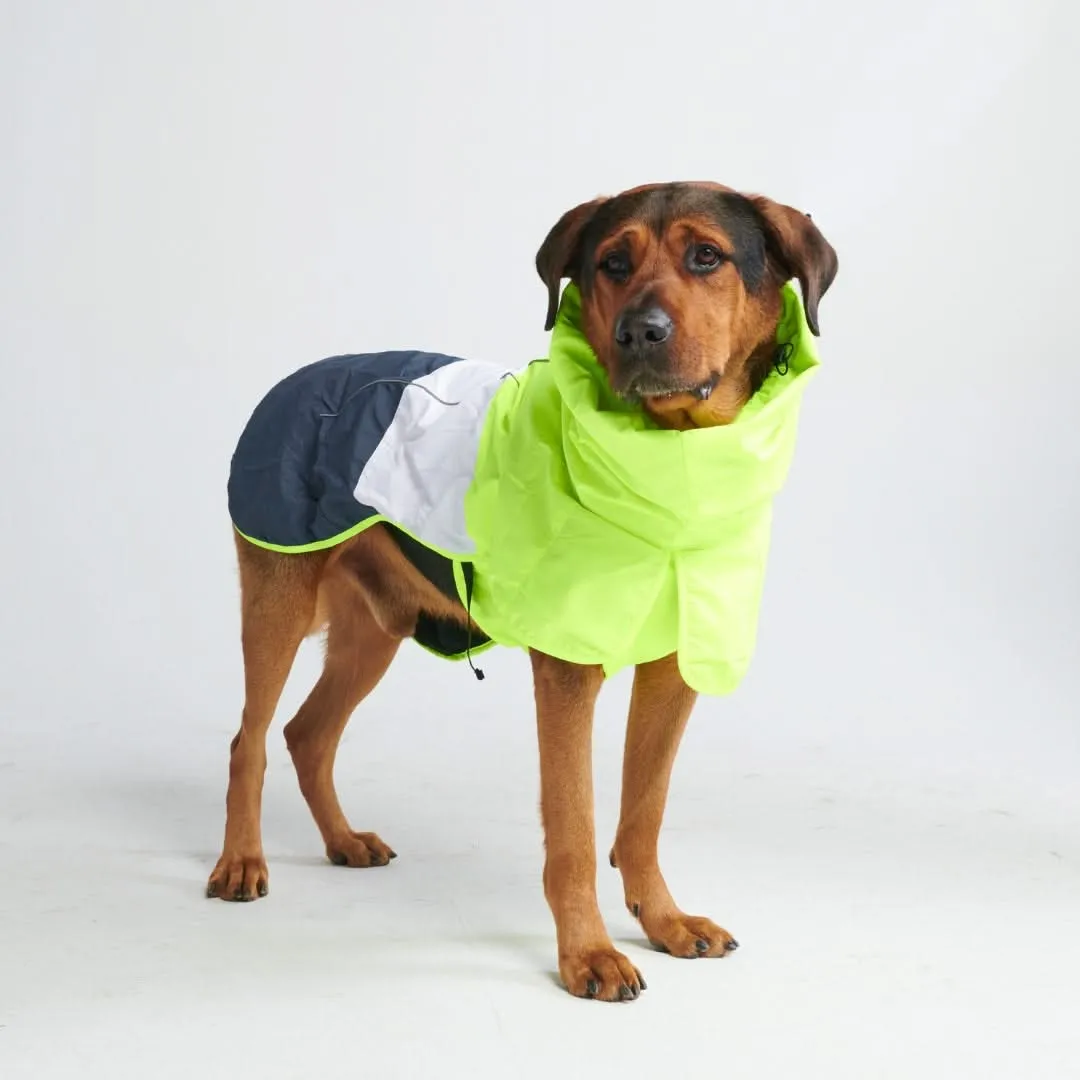 Breatheshield™ Dog Raincoat  - Lime White Navy