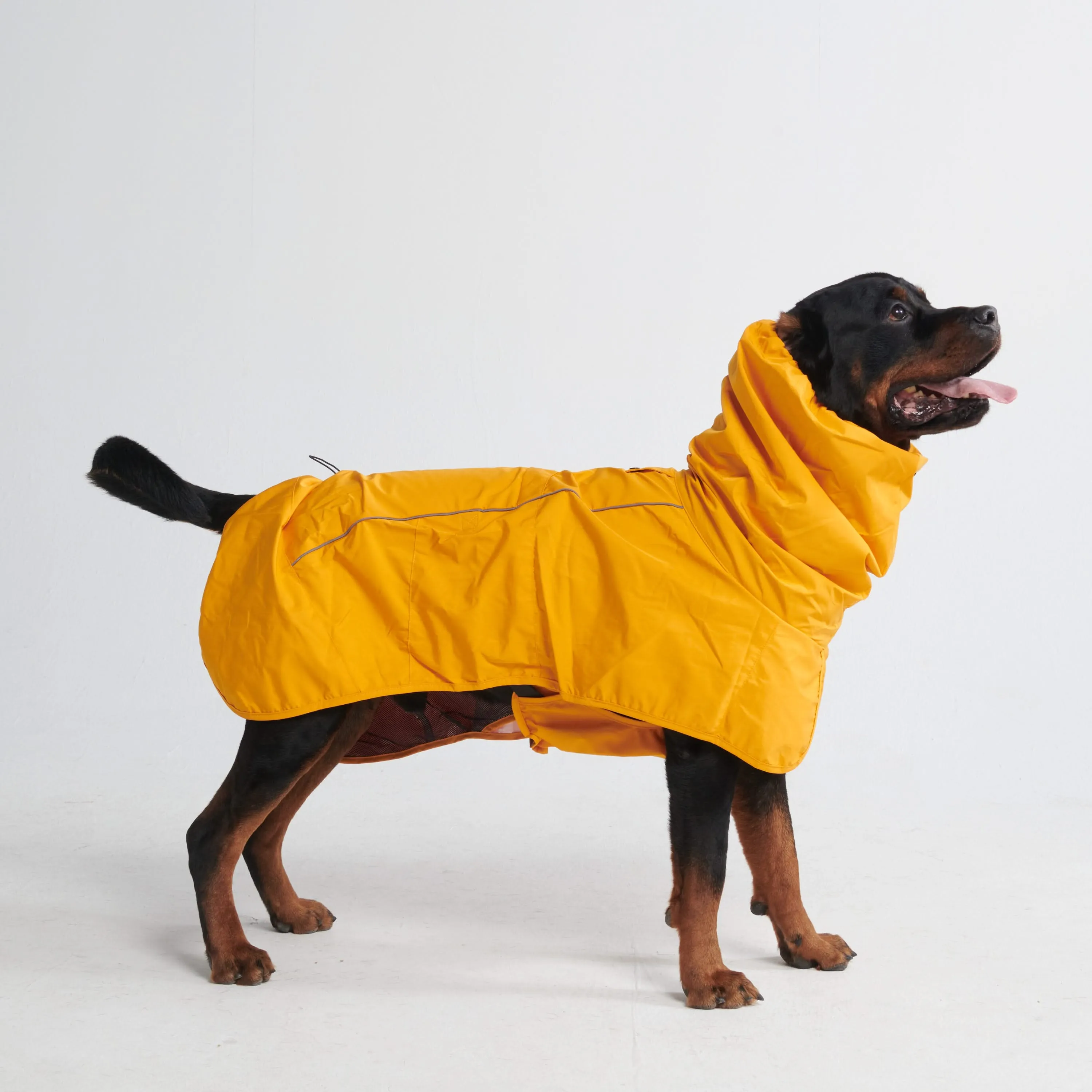 Breatheshield™ Dog Raincoat (Multi-Color)