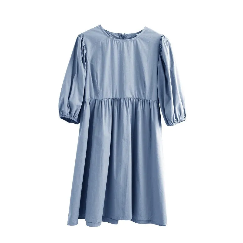 Fit and Flare Lantern Sleeve Summer Dress