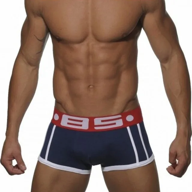 High Quality Brand  Breathable Men Underwear Boxer BS Brand Sexy Cotton Cueca Men Boxer Soft Breathable 5 Colors Men Underpants