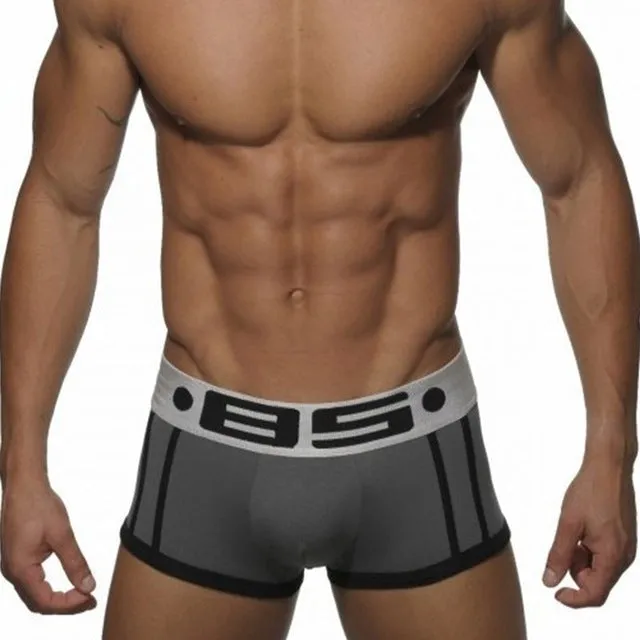 High Quality Brand  Breathable Men Underwear Boxer BS Brand Sexy Cotton Cueca Men Boxer Soft Breathable 5 Colors Men Underpants