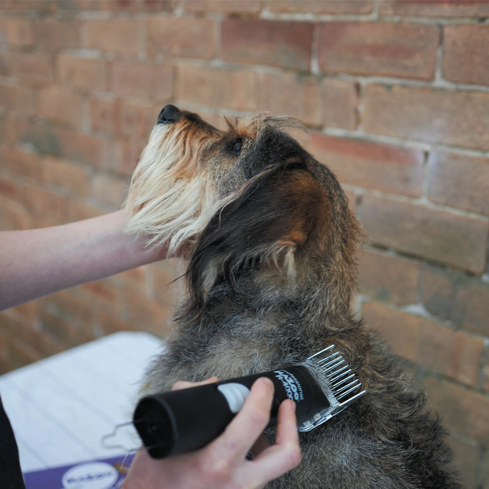 Pro Power Cordless Pet Clipper