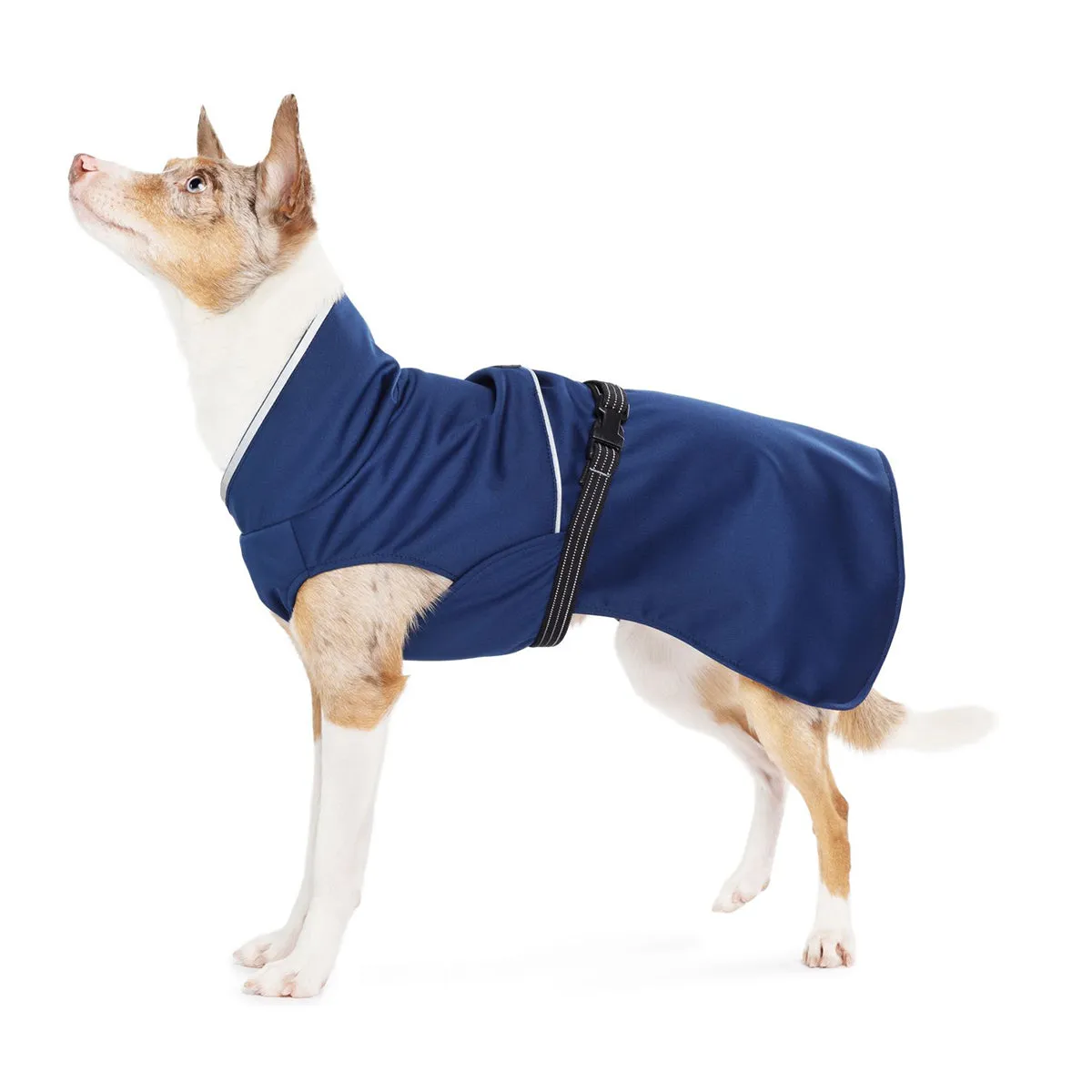 Rain Paw II Dog Raincoat Navy