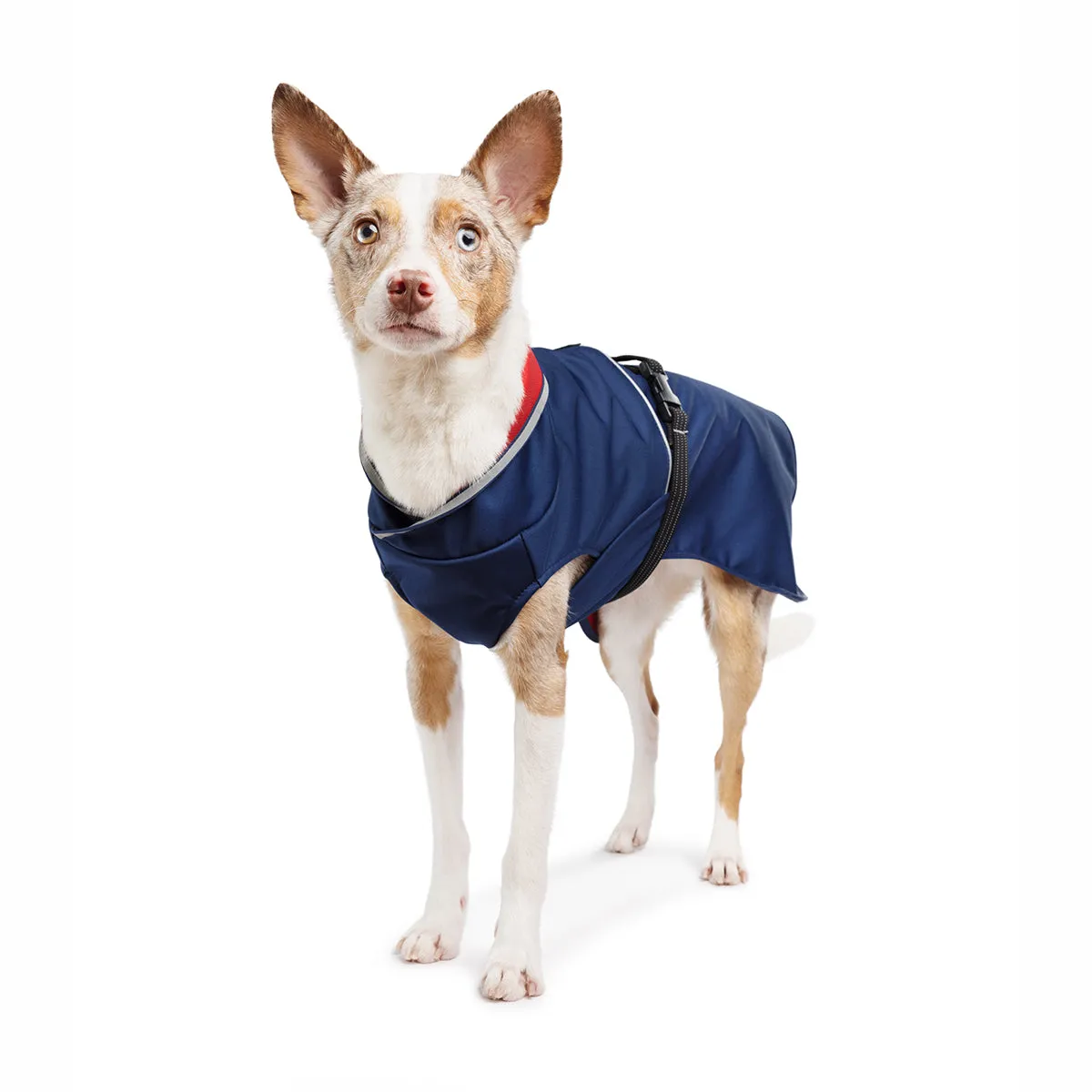 Rain Paw II Dog Raincoat Navy