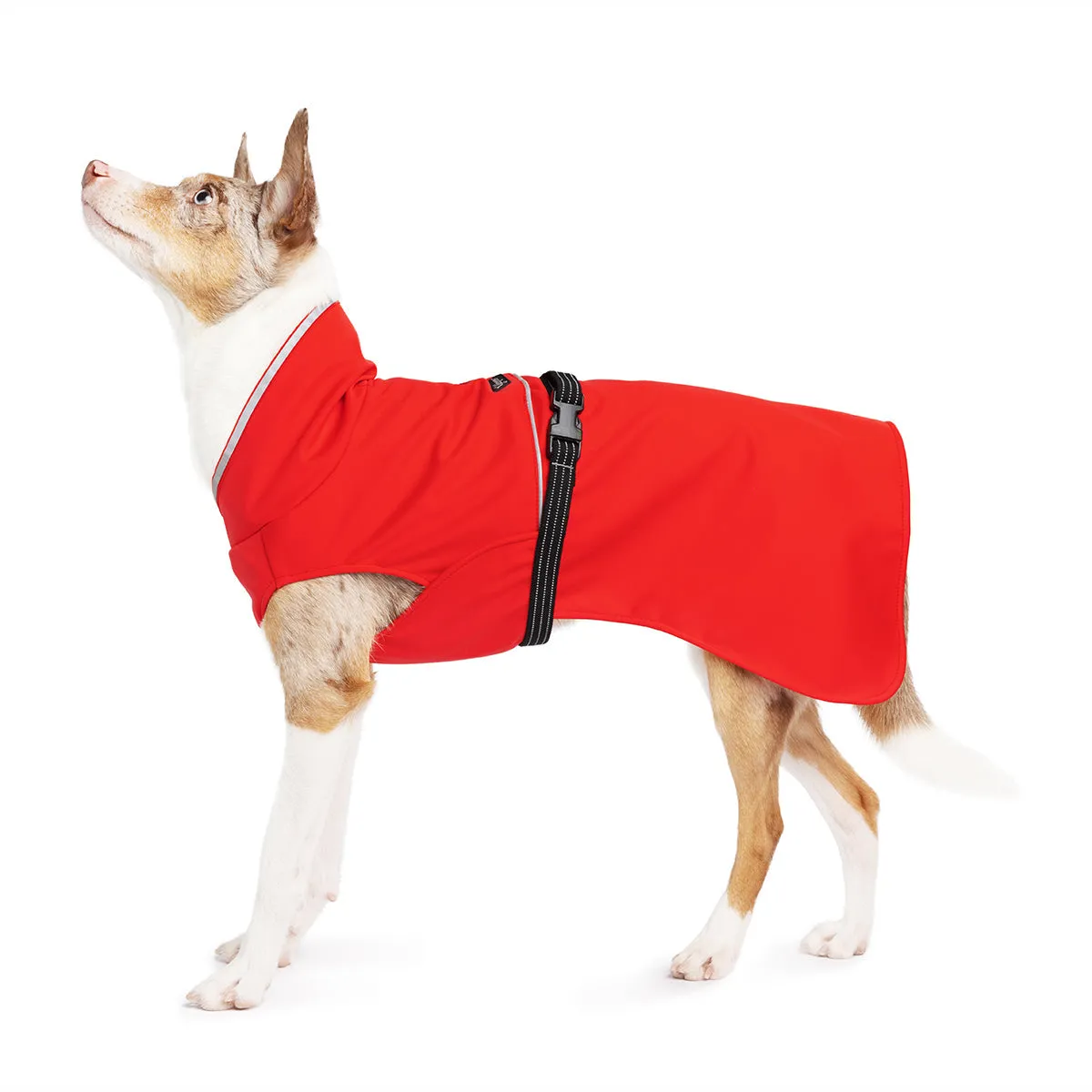 Rain Paw II Dog Raincoat Red