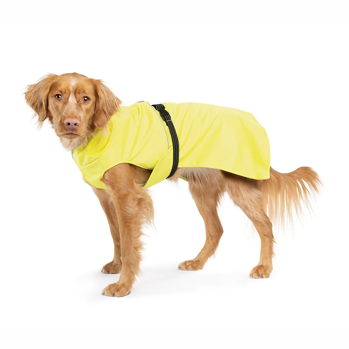 Rain Paw II Dog Raincoat Yellow