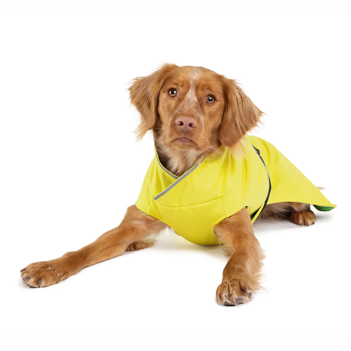 Rain Paw II Dog Raincoat Yellow