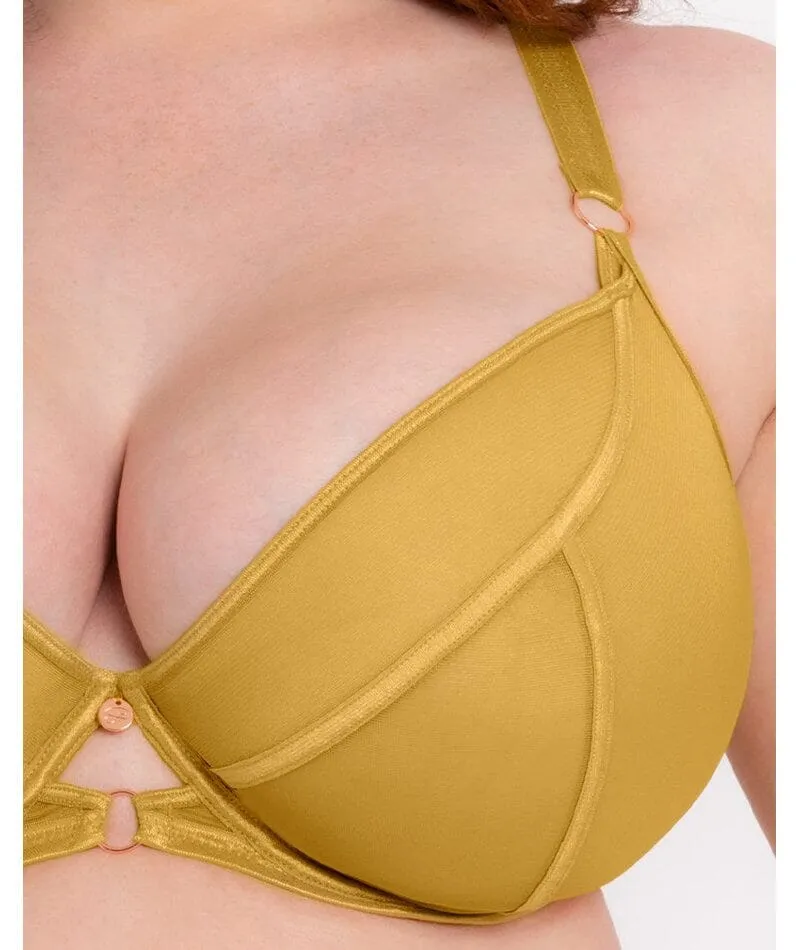 Scantilly Exposed Plunge Bra - Ochre Yellow