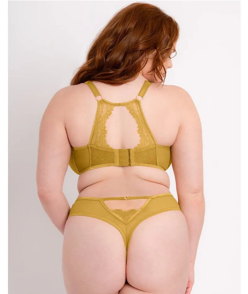 Scantilly Exposed Plunge Bra - Ochre Yellow