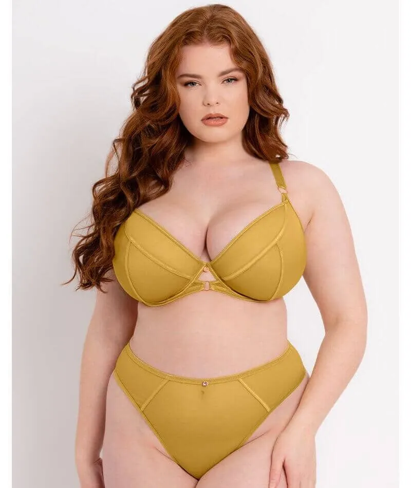 Scantilly Exposed Plunge Bra - Ochre Yellow