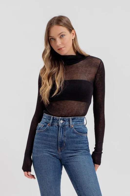 Sheer Turtle Neck Long Sleeve Knit Top